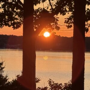 Sunset between the trees