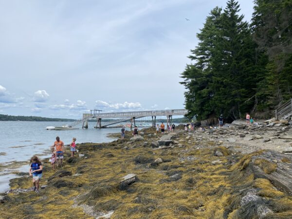 Families tidepooling at Maine beach